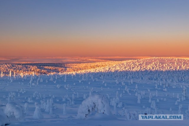 Наследие саамов (версия для группы "На дальних землях")⁠