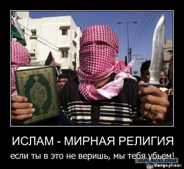 Чеченцы обвинили активистов в разжигании конфликта