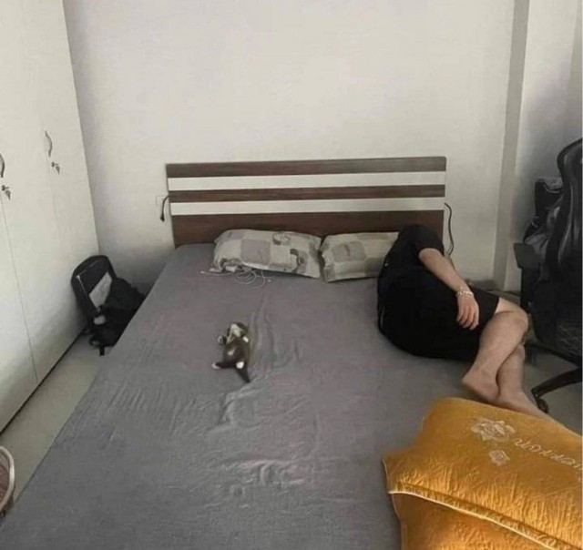 Картиночки, баянчики 01 августа