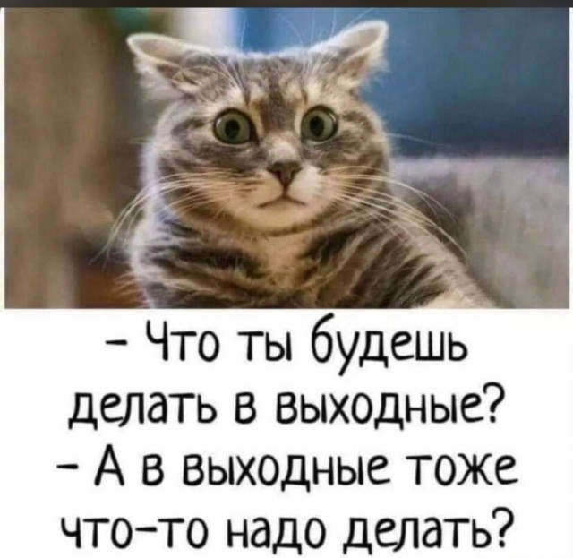 Делитесь