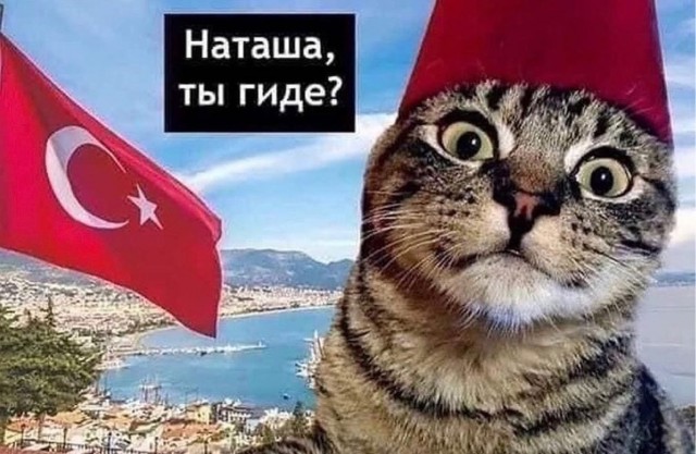 Суббота у Наташи