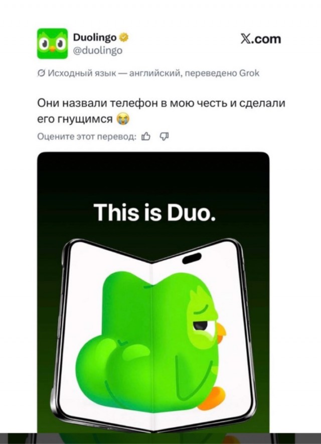 Суп из совы
