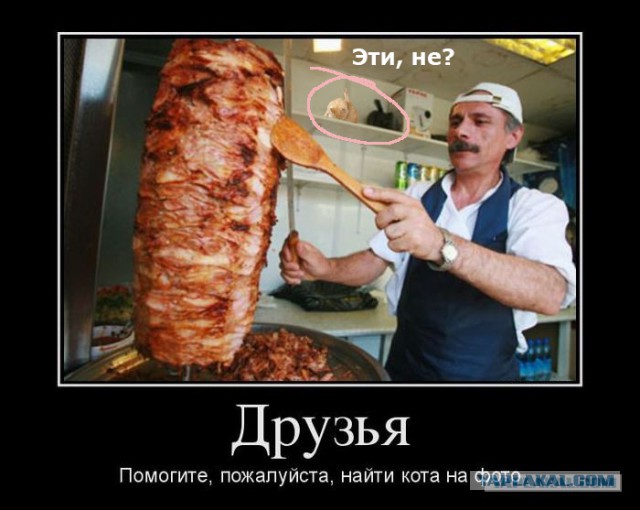 А где прячется ваш кот?