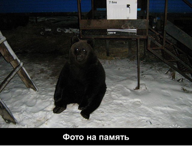 День нефтяника