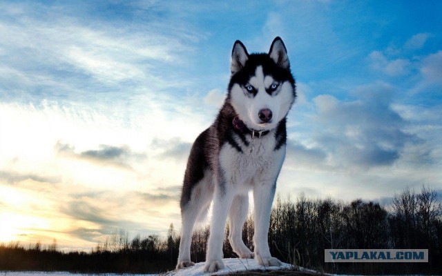 Лучшие фотографии года