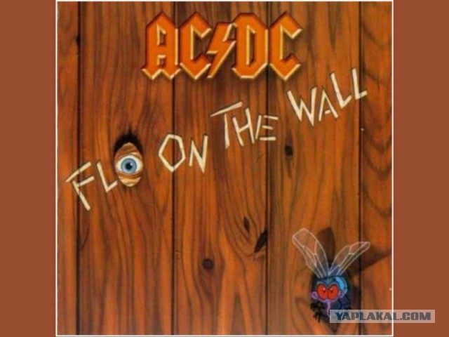 AC/DC интересные факты