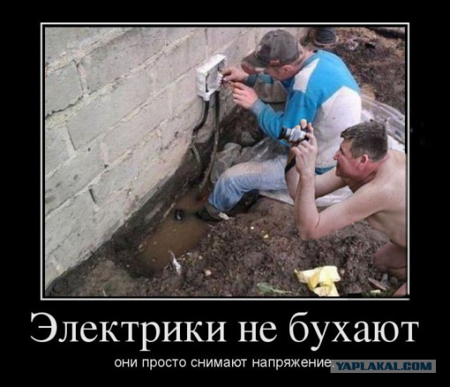 Жаба: Фотолюбитель