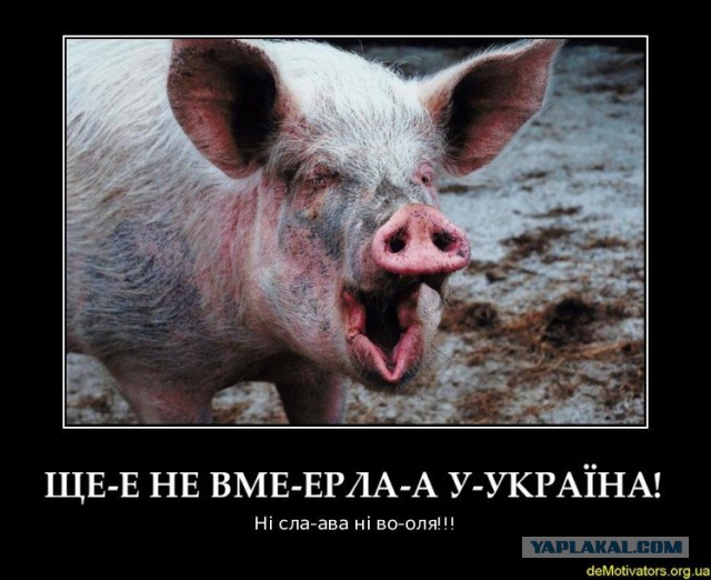 Карикатуры