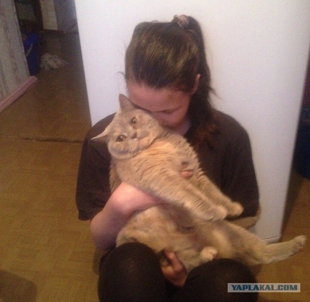 Котовторник 19.01.2016