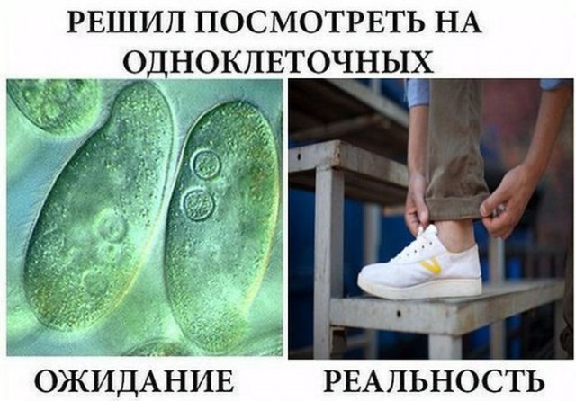 Подборка фотоприколов