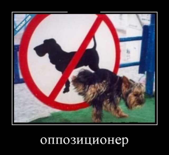 Картинки с надписями