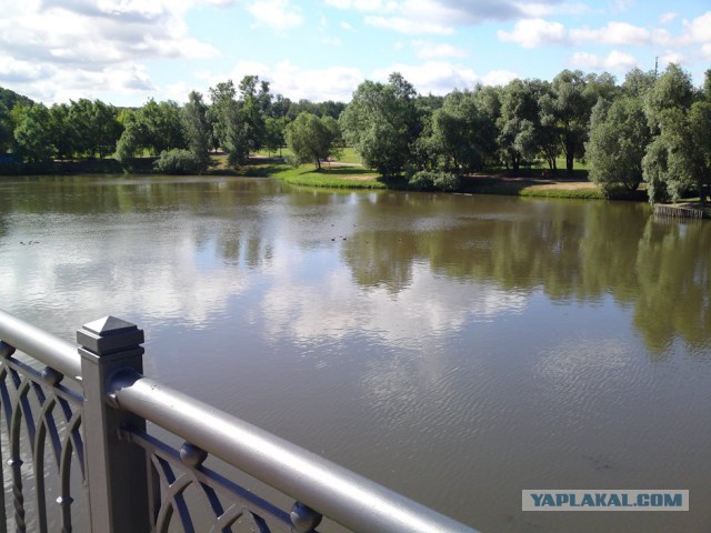 Прогулка по курганам Вятичей и языческому капищу в Царицыно
