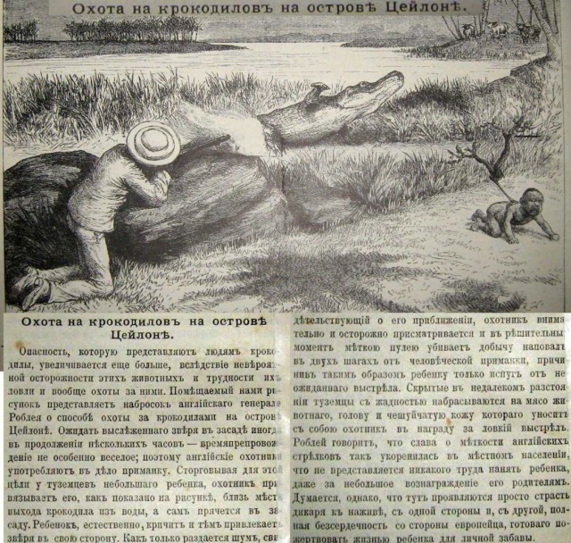 Интересные и редкие фотографии