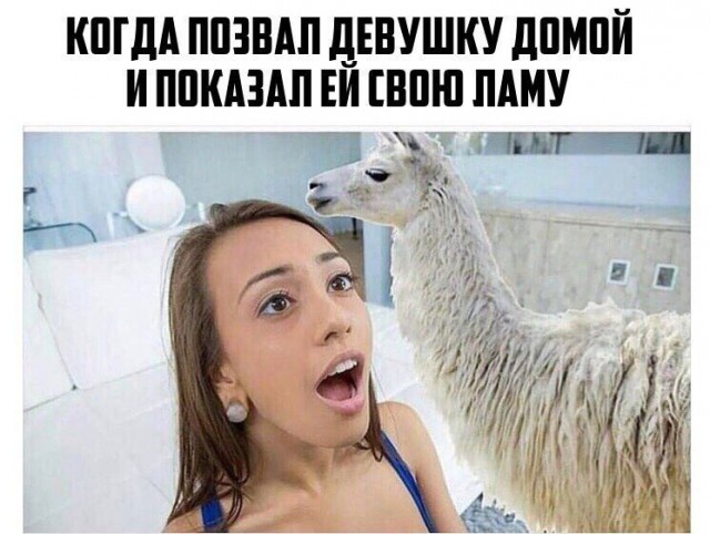 Немного разных картинок
