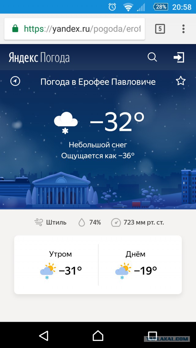 Звезданутые защитники животных