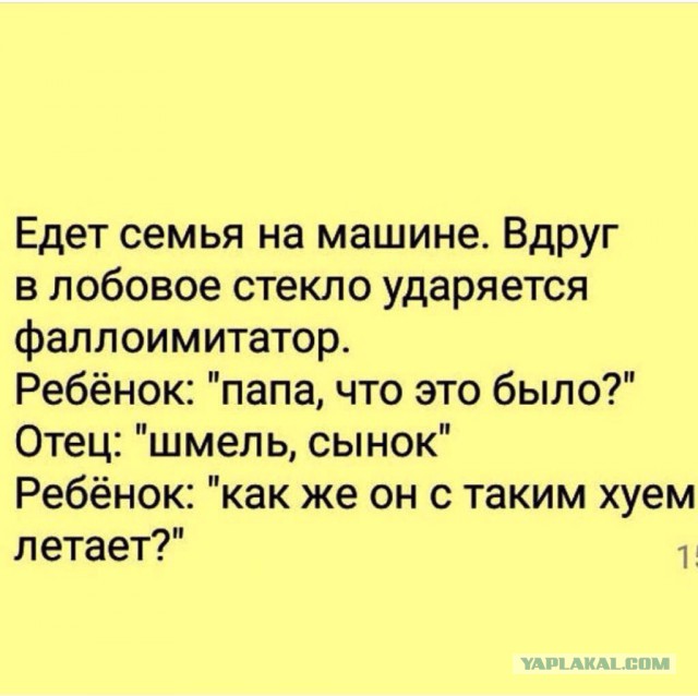 Прикольные картинки обо всём