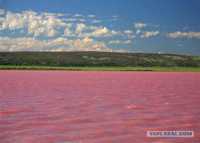 Красота Горного Алтая