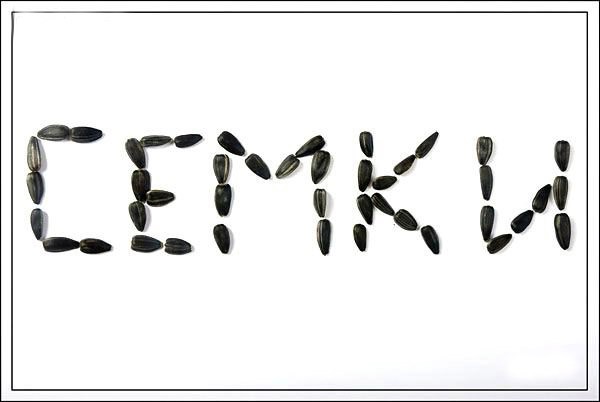 Креативные семечки (14 фото)