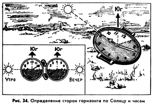 "Медведя отгонял хлопками". Три недели в лесу без еды, воды и оружия