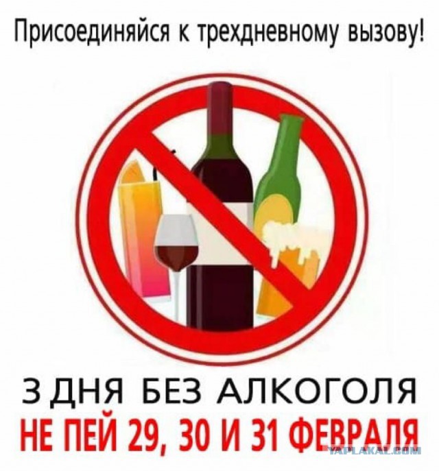 Анекдоты, соц-сети и картинки с надписями