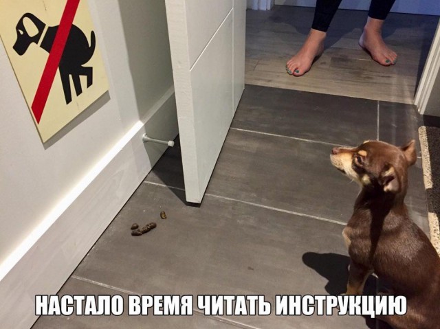 Не очень адекватный юмор