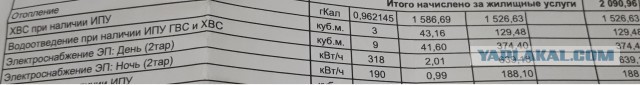 Биток растет