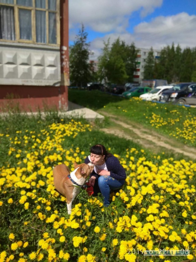 Собакочетверг же 19 09 2019