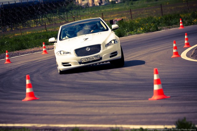 Бойцовский Клуб Jaguar