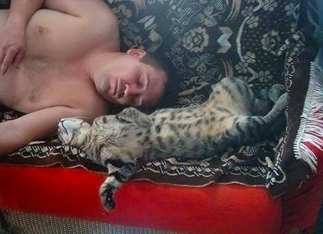 Когда скучно на работе...