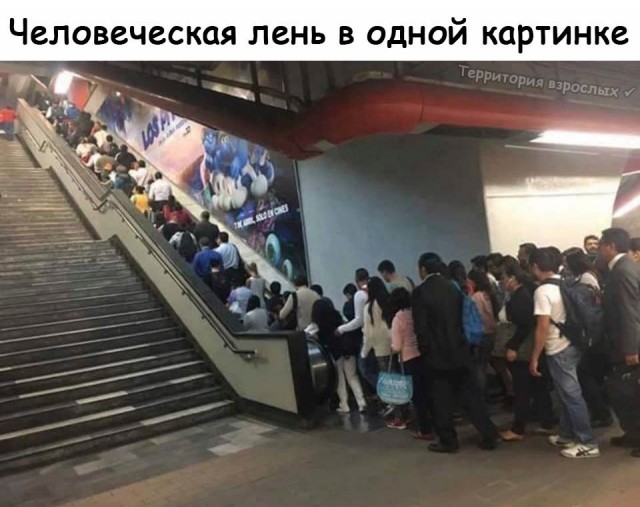 Почему в Японии живут без всякого сырья богато, а мы – наоборот?