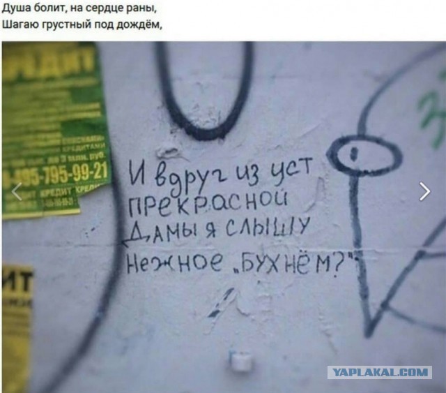 Алкопост! В картинках