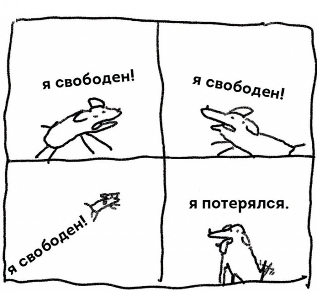 Немного картинок для настроения 05.04.20