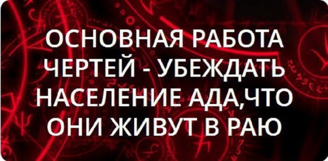 Цифровые пропуска стали госуслугой — безальтернативной