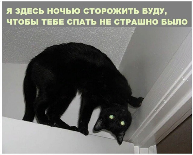 Картинки всякие 13.02.21
