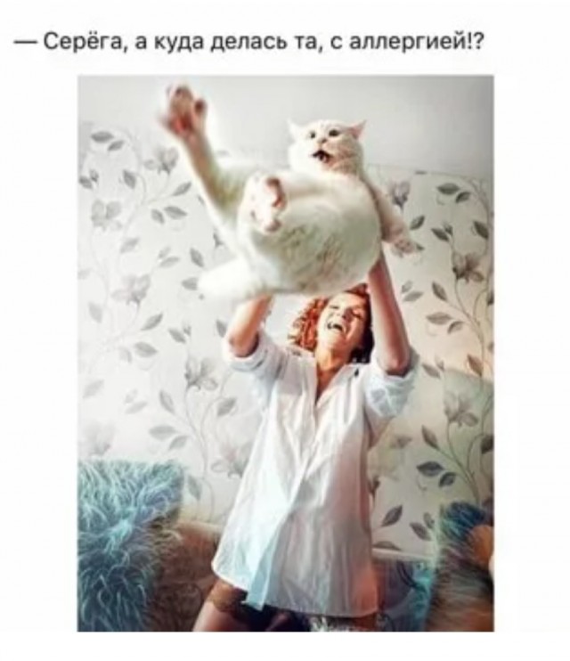 Девушки и котики