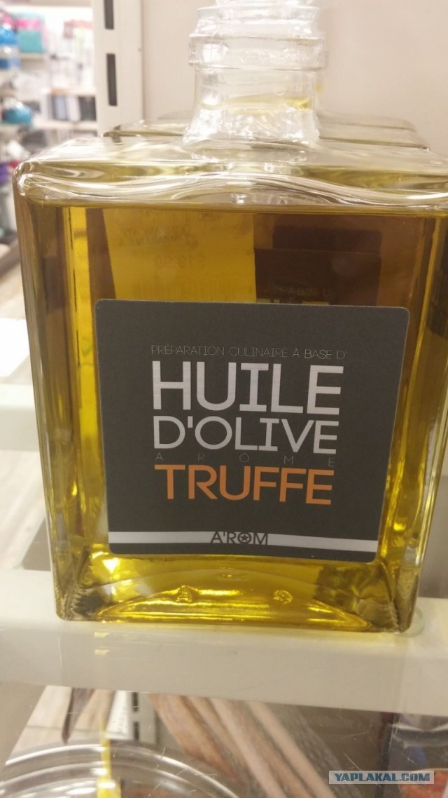 Чага - берёзовый гриб