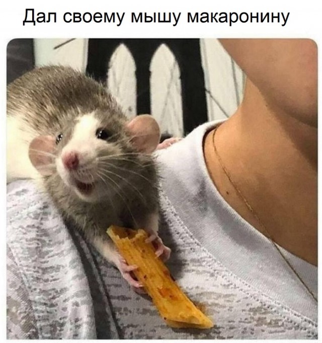 Картинки с надписями и всякие жизненные фразы 4.05.21