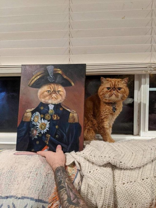 Картинки и мемы для настроения 19.05.2021