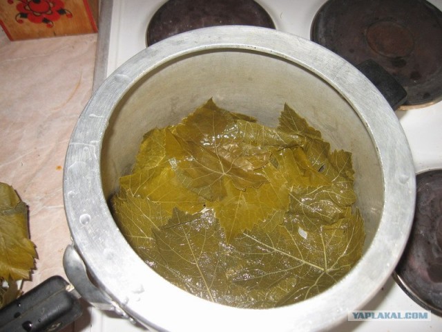 Фарш для Чайников, Мяско рубленное: тЯП-лЯП-International