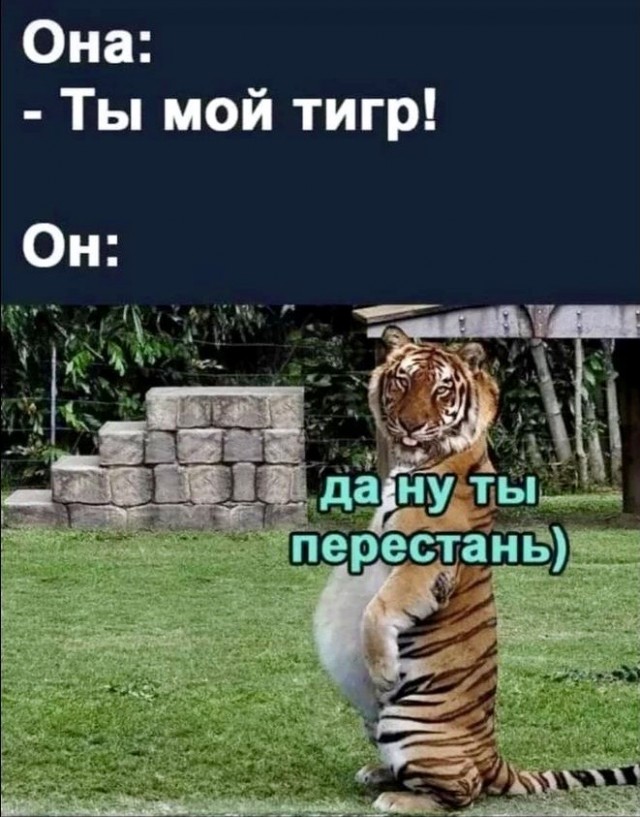 Юмор и прикольные картинки
