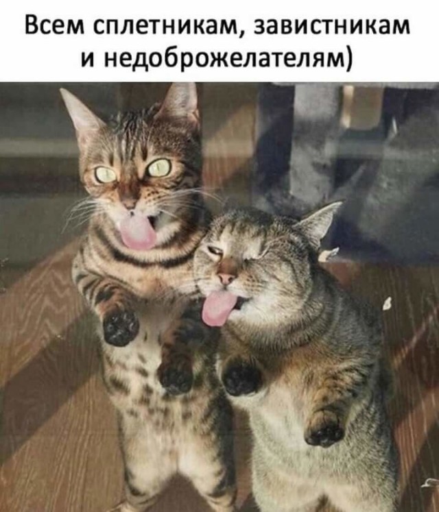 Баянисто-небаянистый юмор 12.07.21