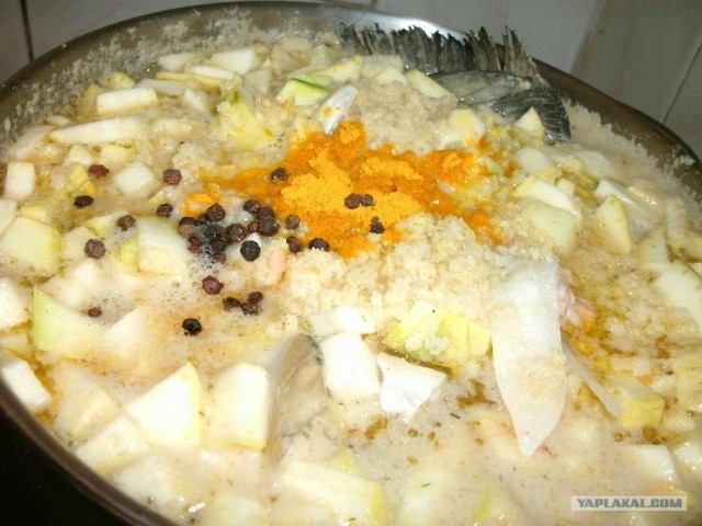 Пятничные посиделки на теплотрассе ©