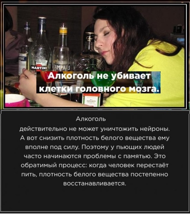 Занимательные факты о разном