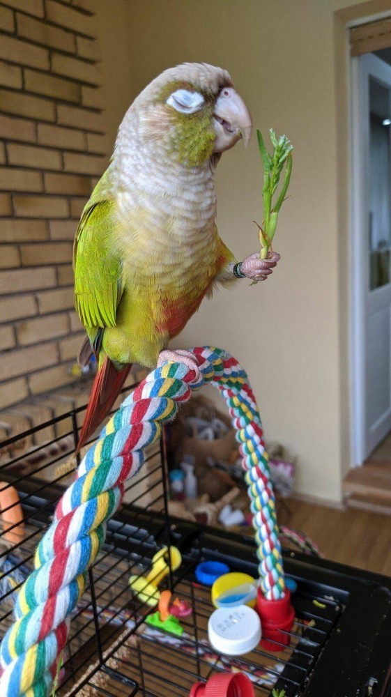 Подборка интересных и прикольных фото из Сети 11.07.22