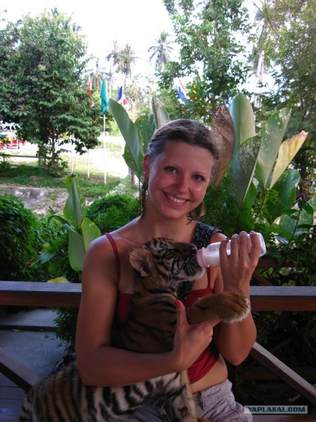 Такой разный остров Самуи