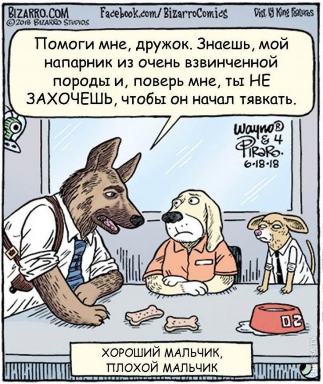 Картинки и мемы для настроения - 11