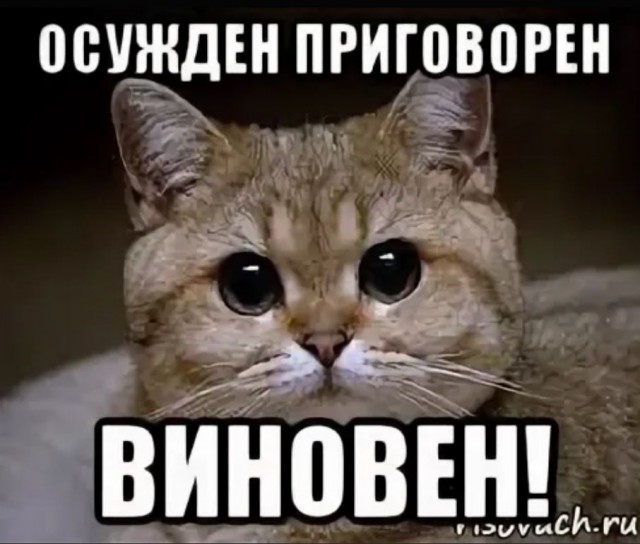 Победная поступь идиотизма по планете – том 5