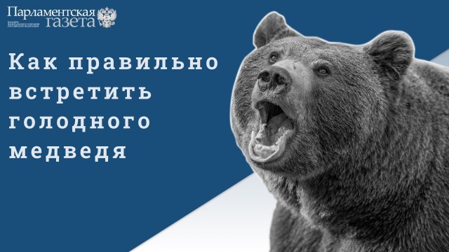 Победная поступь идиотизма по планете – том 11