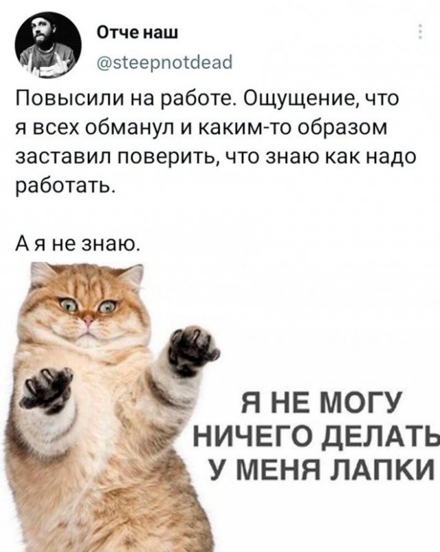 Немного картинок для настроения - 165