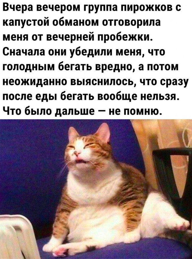 Так себе картинки 12.08.23